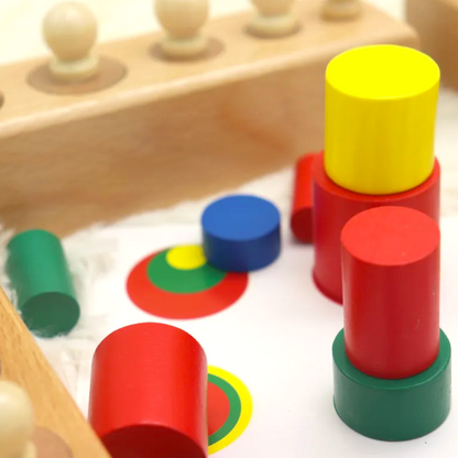 Montessori Wooden Socket Cylinder Play Set