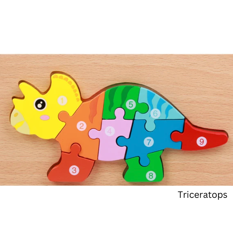 Montessori Wooden Toy Puzzles (12 varieties)