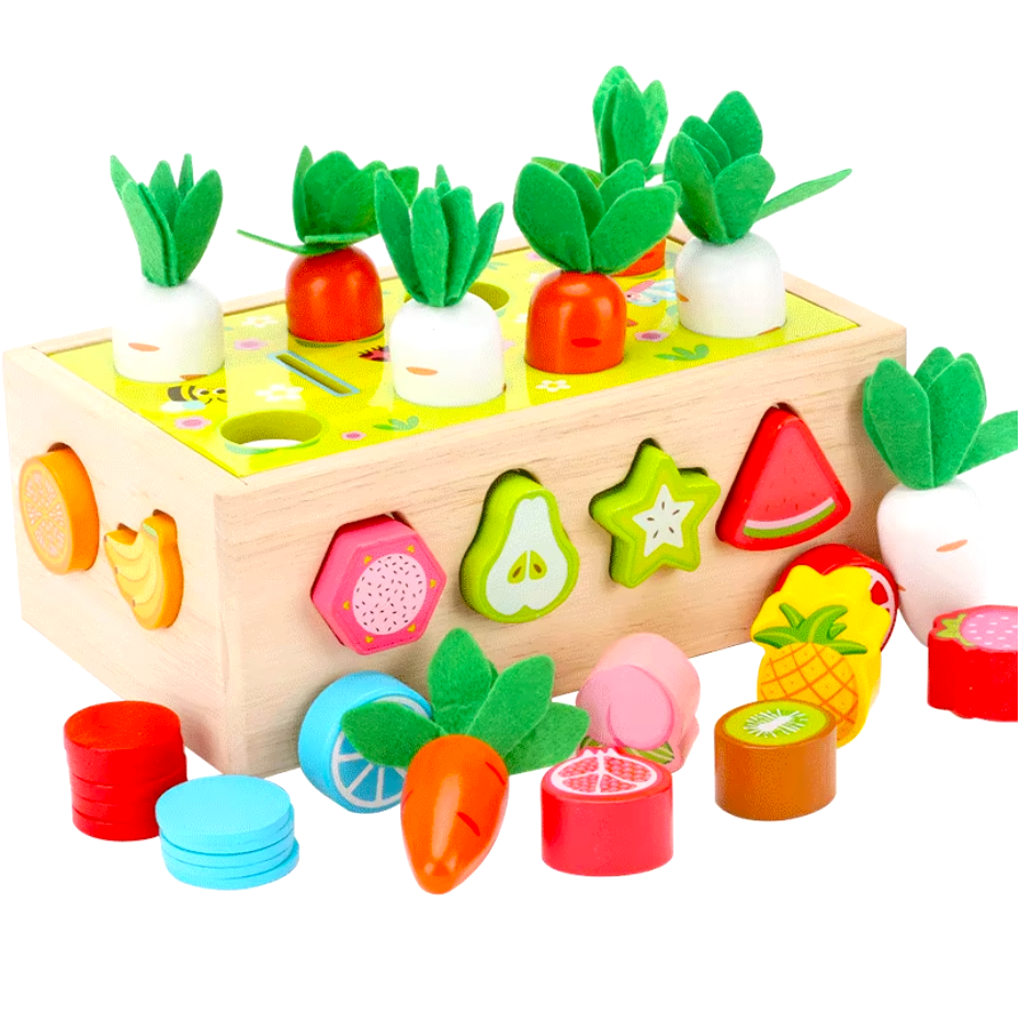 Montessori Wooden Fruit Cart Play Set