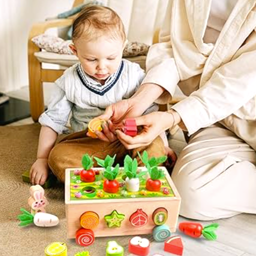 Montessori Wooden Fruit Cart Play Set